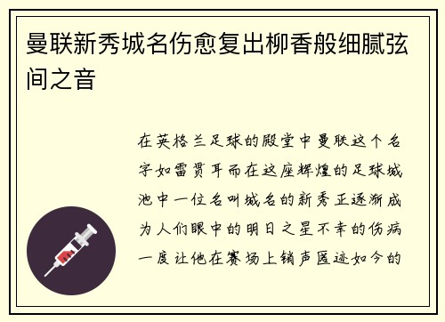 曼联新秀城名伤愈复出柳香般细腻弦间之音
